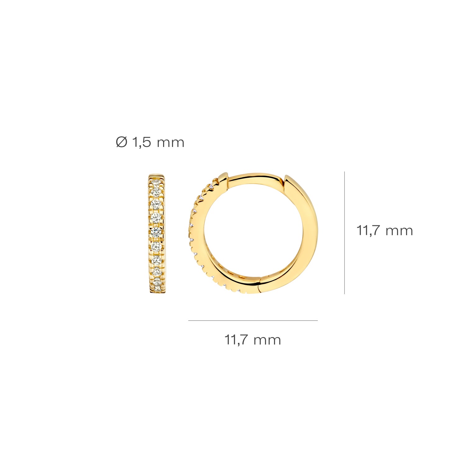 Blush Oorringen 7307YZI - Geel Goud (14k) met Zirkonia