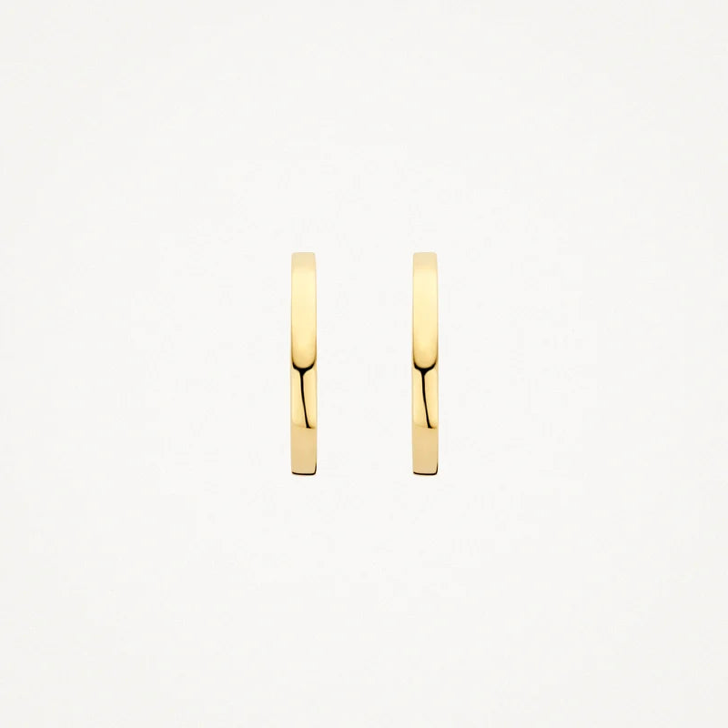 Blush Oorringen in 14k Goud - 7308YGO