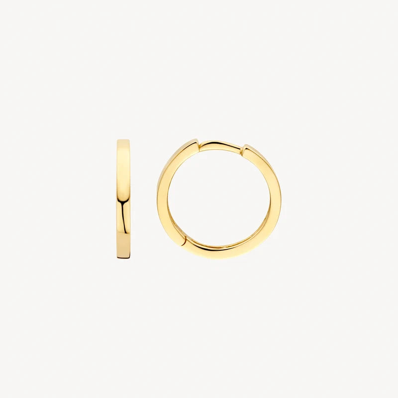 Blush Oorringen in 14k Goud - 7308YGO