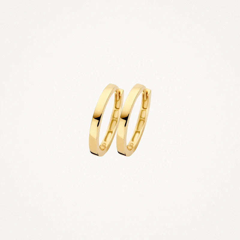 Blush Oorringen in 14k Goud - 7308YGO