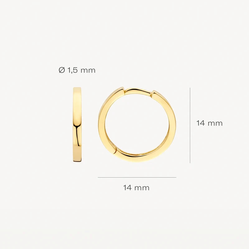 Blush Oorringen in 14k Goud - 7308YGO