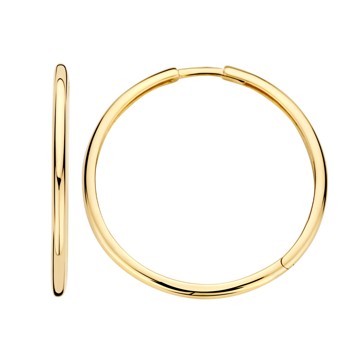 Blush Oorringen 7312YGO - Geel Goud (14k)