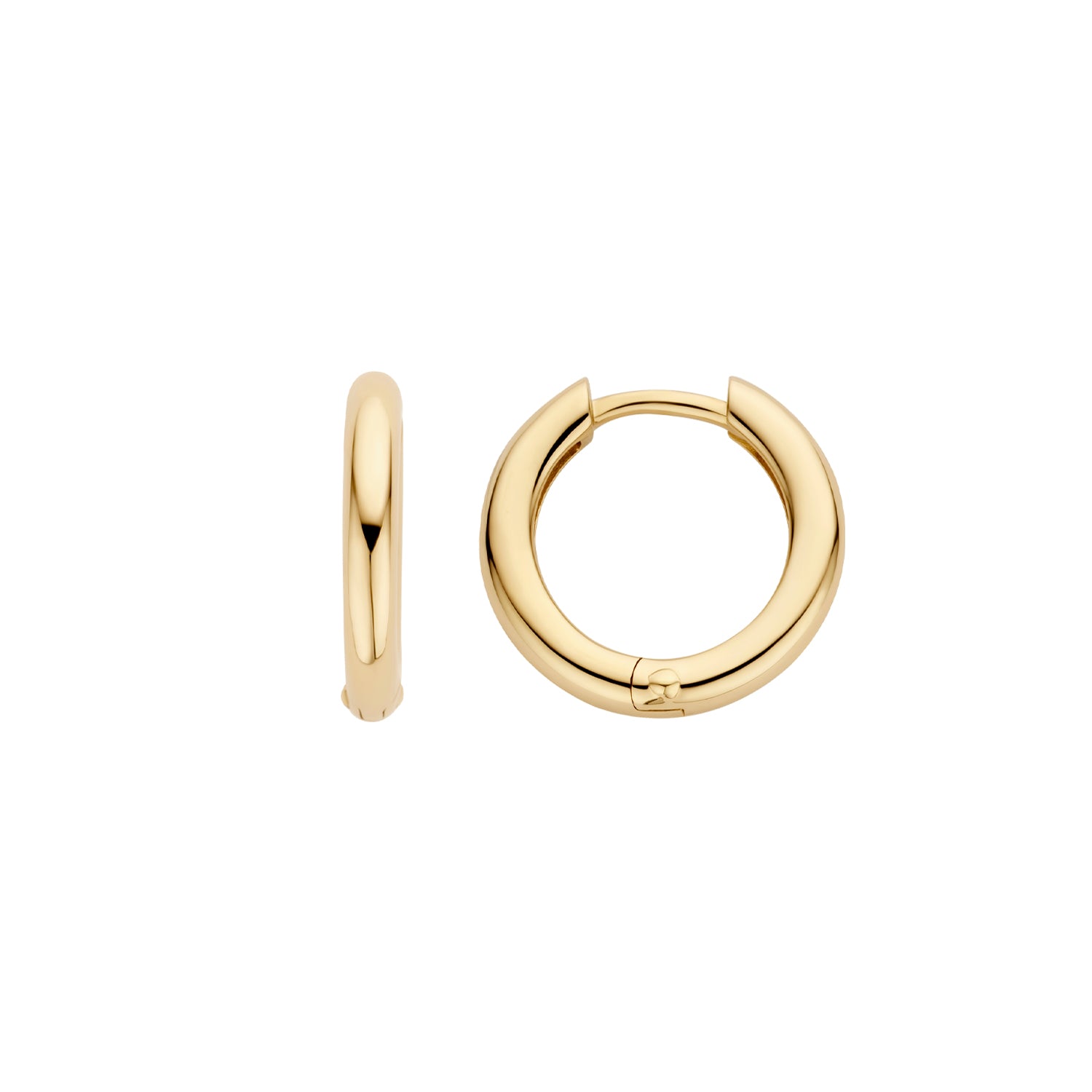 Blush Oorbellen 7317YGO -  Geel Goud (14k)