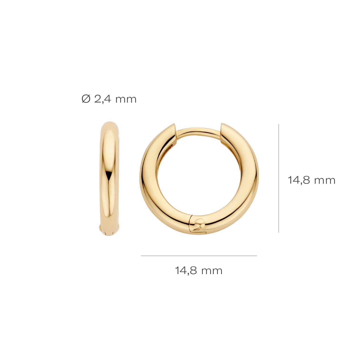 Blush Oorbellen 7317YGO -  Geel Goud (14k)