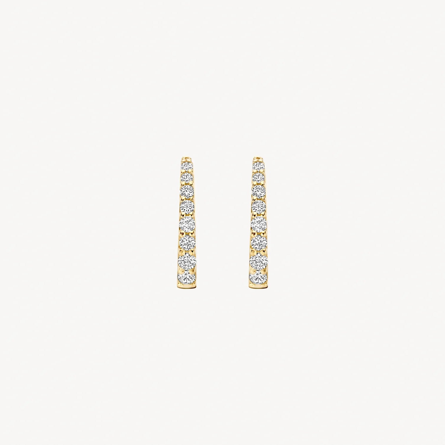 Blush Oorringen met zirkonia in 14k Goud - 7341YZI