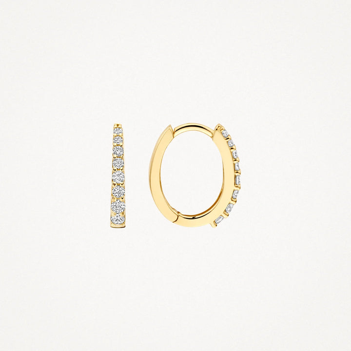 Blush Oorringen met zirkonia in 14k Goud - 7341YZI