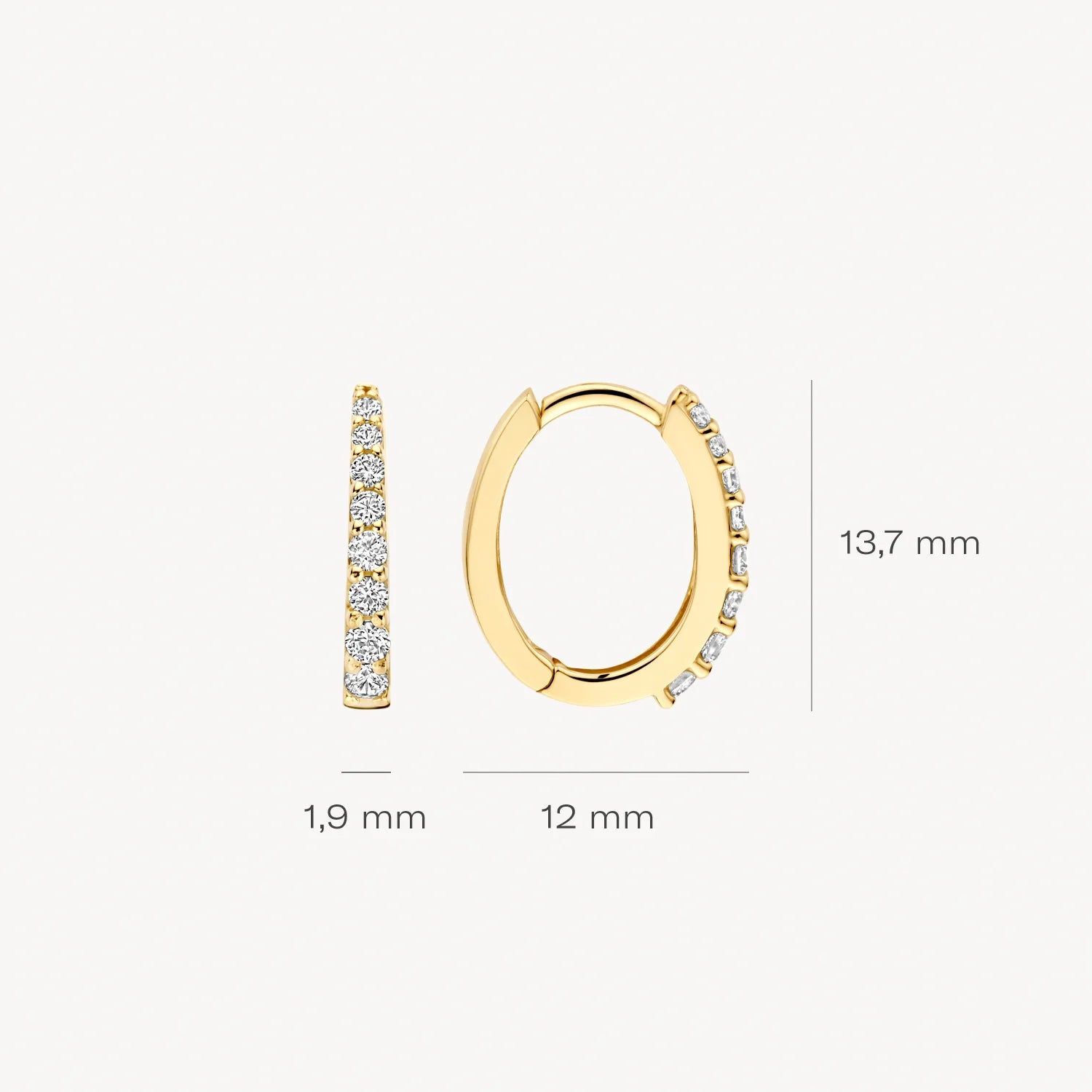 Blush Oorringen met zirkonia in 14k Goud - 7341YZI