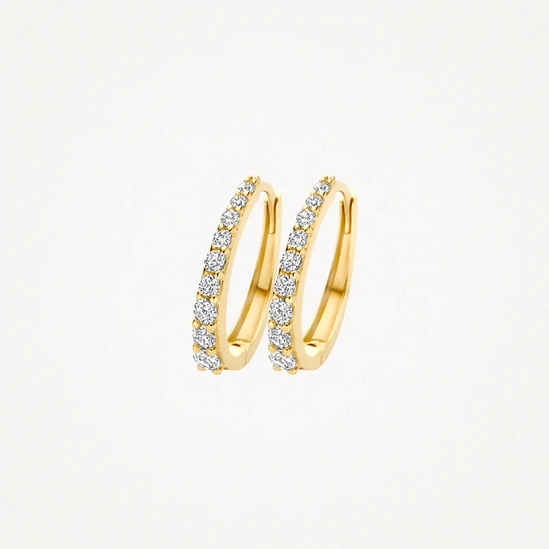 Blush Oorringen in 14k Goud en zirkonia - 7342YZI