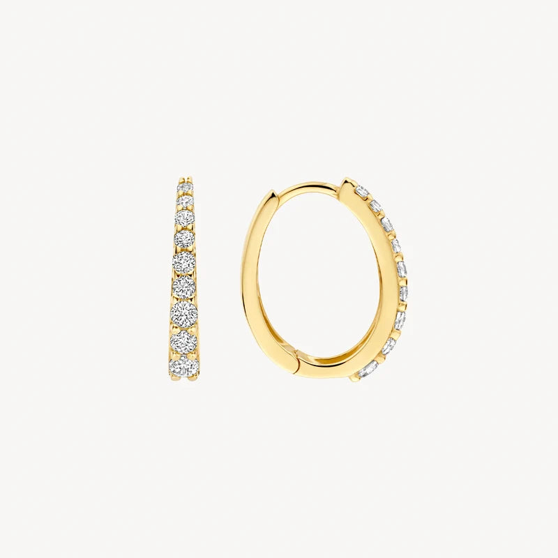 Blush Oorringen in 14k Goud en zirkonia - 7342YZI
