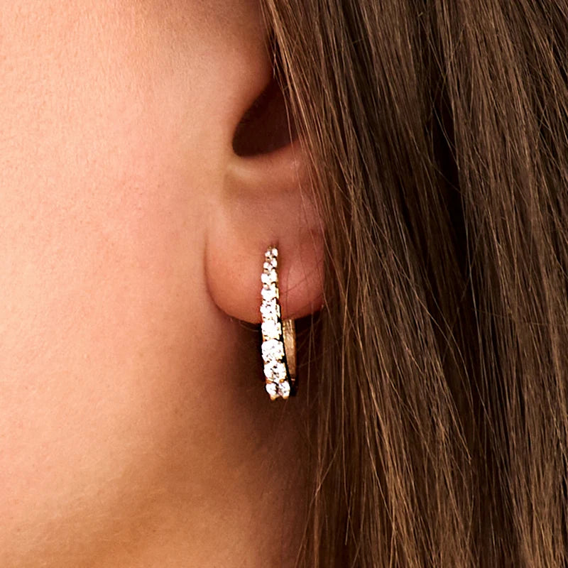 Blush Oorringen in 14k Goud en zirkonia - 7342YZI