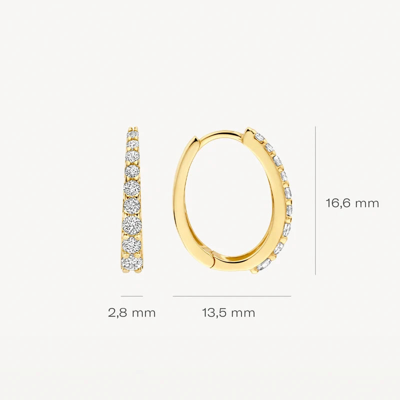Blush Oorringen in 14k Goud en zirkonia - 7342YZI