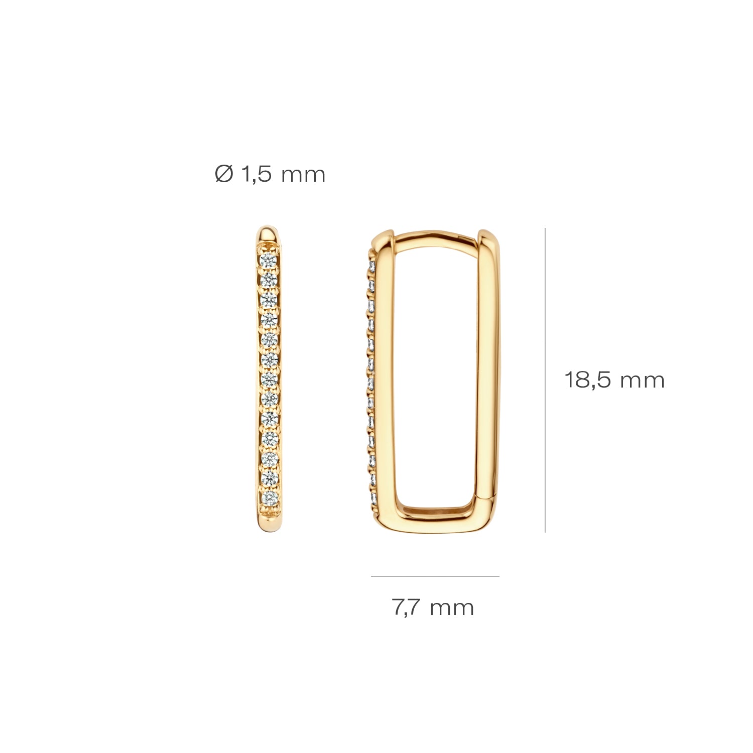 Blush Oorringen 7343YZI - Geel Goud (14k) met Zirkonia