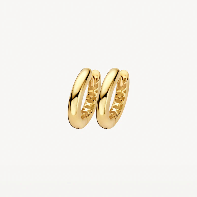 Blush Lab Diamonds Oorringen LG7021Y - Geelgoud (14k)