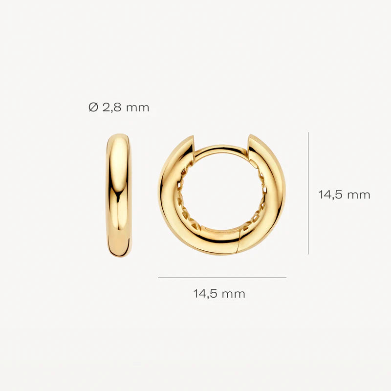 Blush Lab Diamonds Oorringen LG7021Y - Geelgoud (14k)