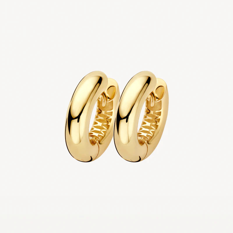 Blush Lab Diamonds Oorringen LG7023Y - Geelgoud (14k)