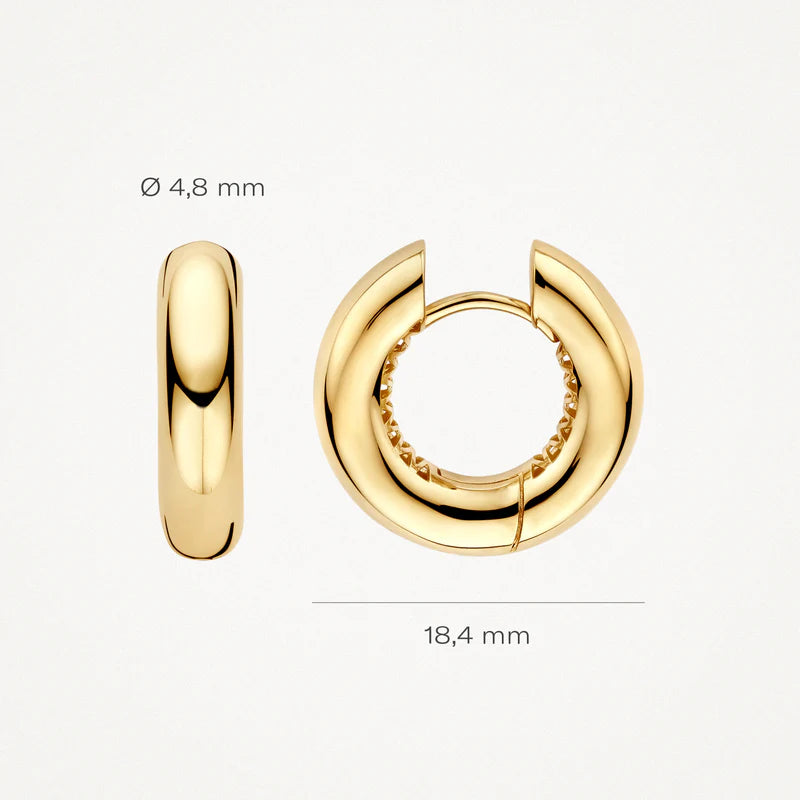 Blush Lab Diamonds Oorringen LG7023Y - Geelgoud (14k)