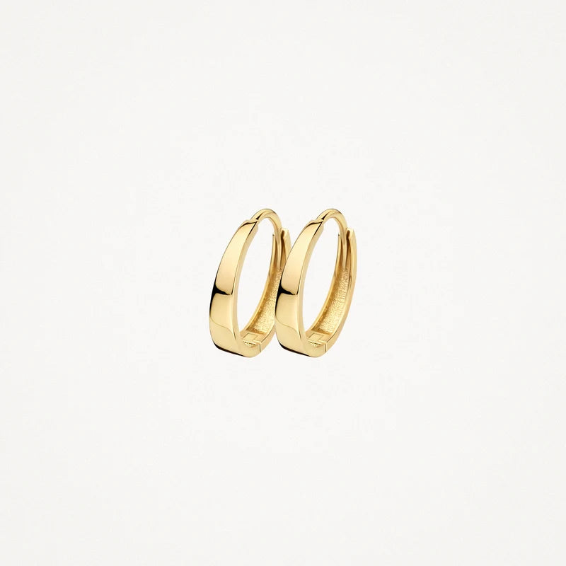 Blush Oorringen in 14k Goud - 7379YGO