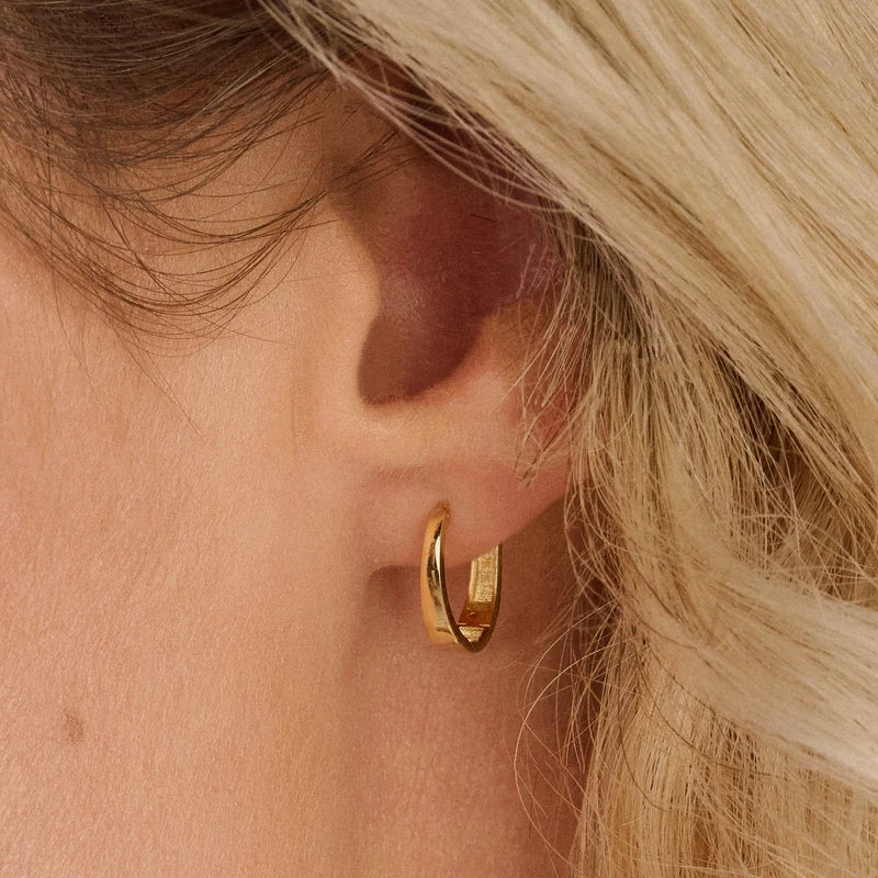 Blush Oorringen in 14k Goud - 7379YGO