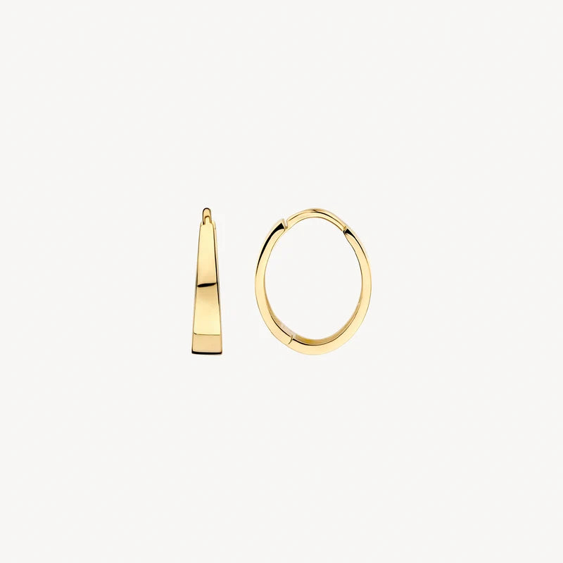 Blush Oorringen in 14k Goud - 7379YGO
