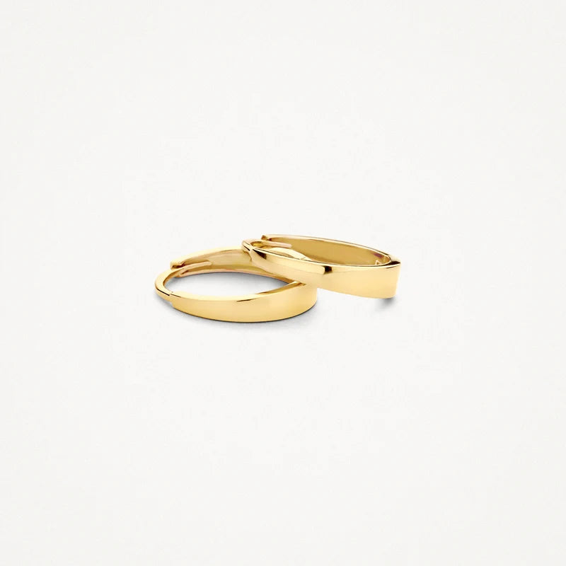 Blush Oorringen in 14k Goud - 7379YGO