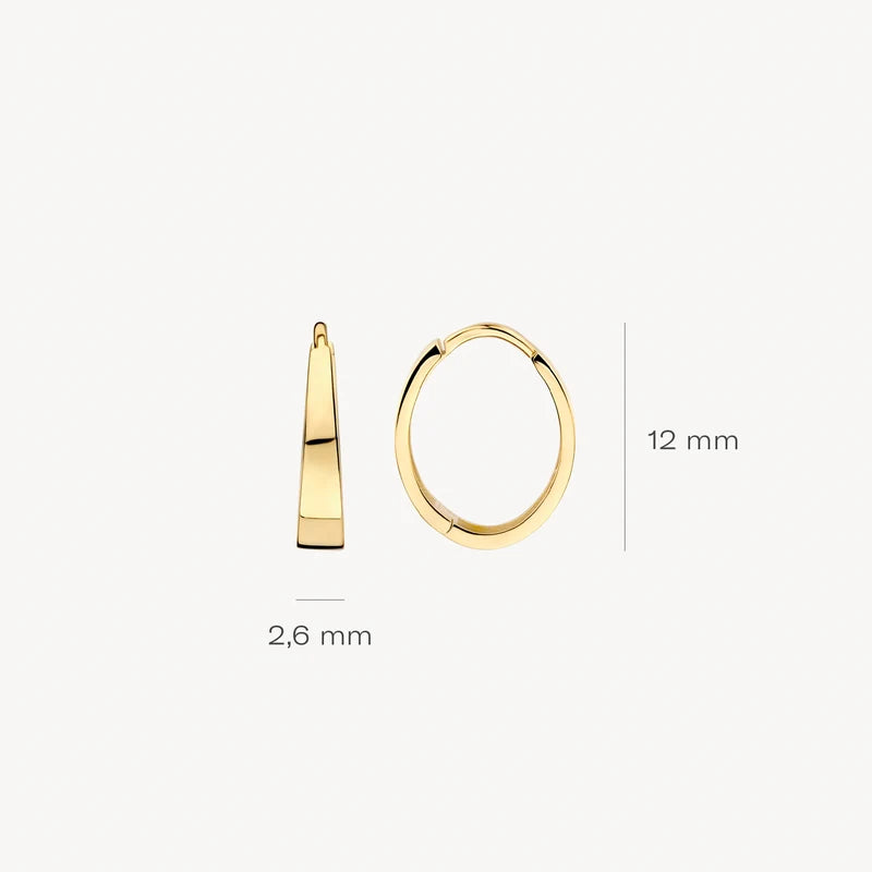 Blush Oorringen in 14k Goud - 7379YGO