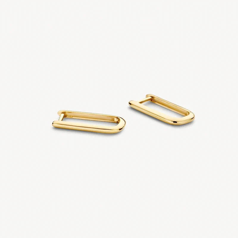 Blush Oorringen in 14k Goud - 7380YGO