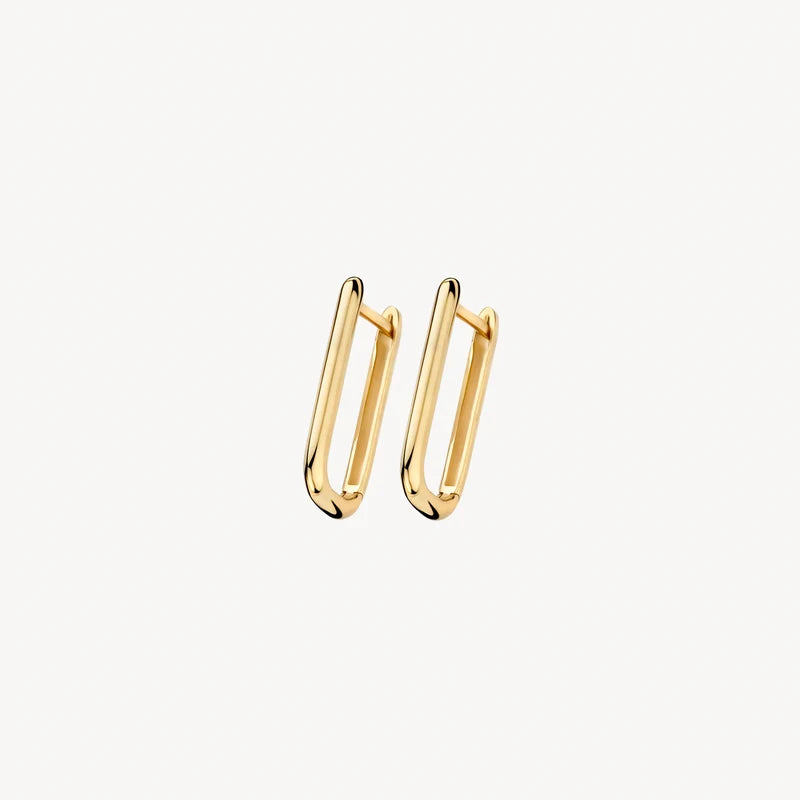 Blush Oorringen in 14k Goud - 7380YGO