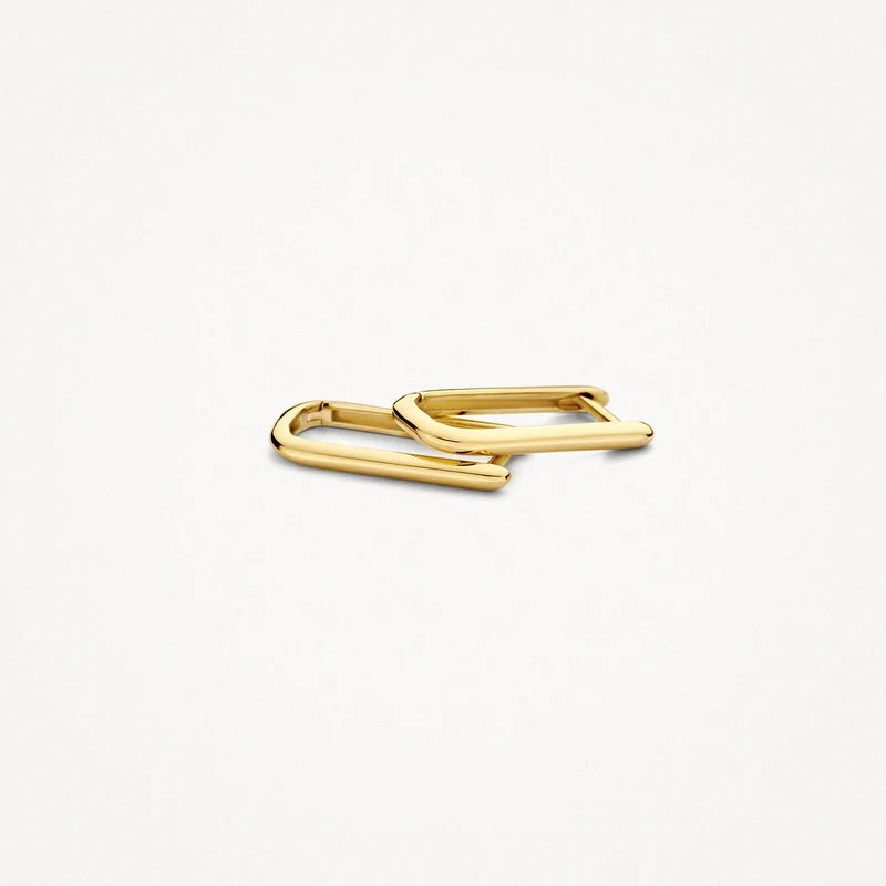 Blush Oorringen in 14k Goud - 7380YGO