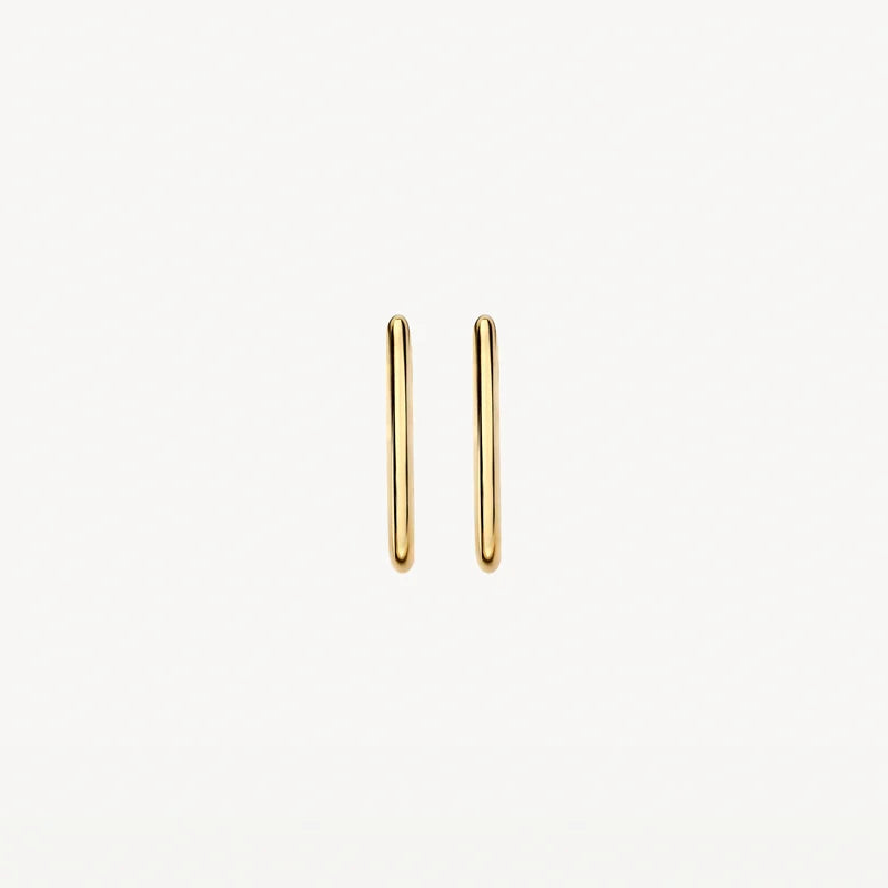 Blush Oorringen in 14k Goud - 7380YGO