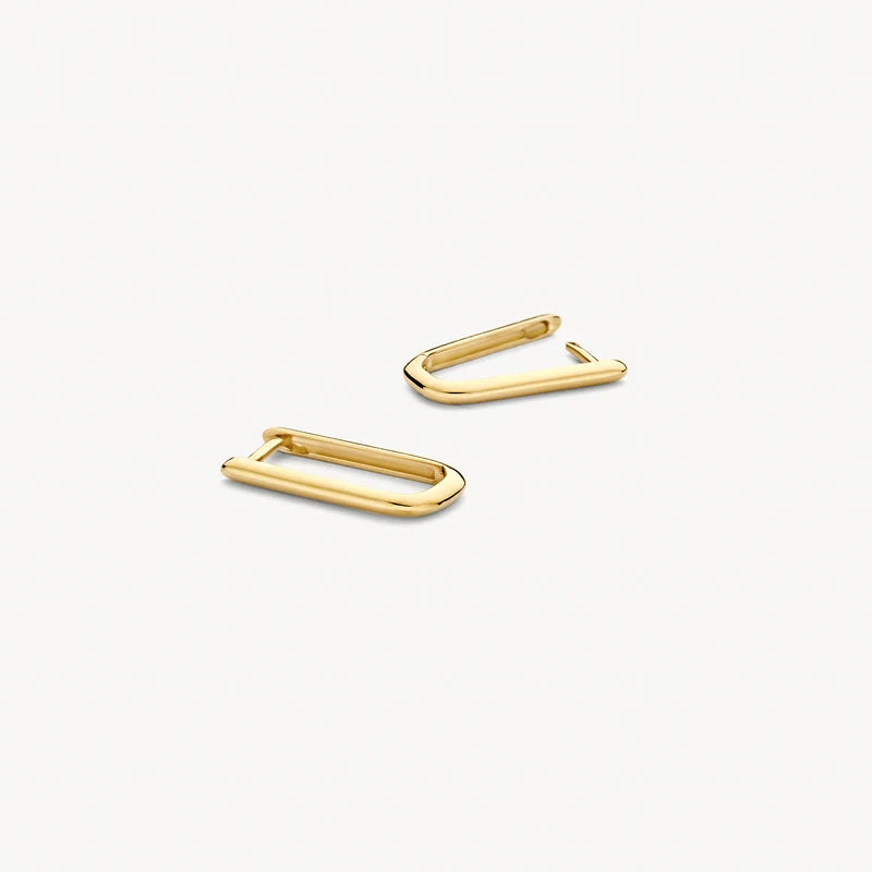Blush Oorringen in 14k Goud - 7380YGO