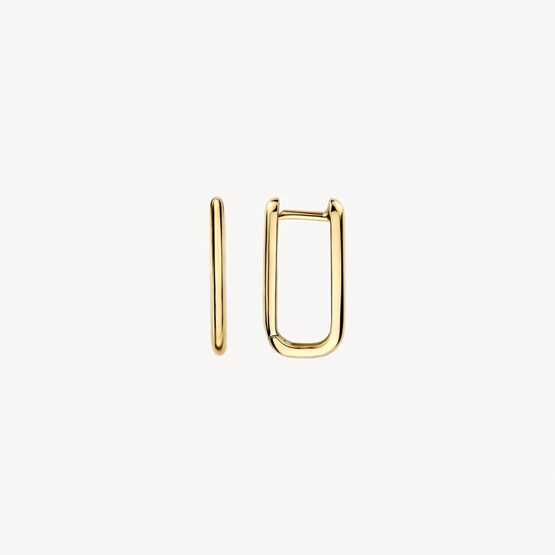 Blush Oorringen in 14k Goud - 7380YGO