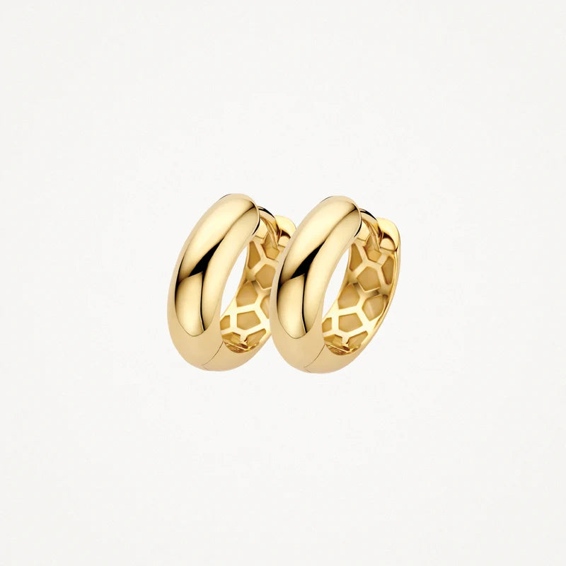 Blush Oorringen in 14k Goud - 7389YGO