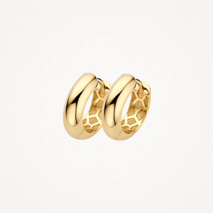 Blush Oorringen in 14k Goud - 7389YGO