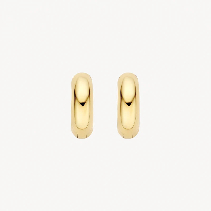 Blush Oorringen in 14k Goud - 7389YGO