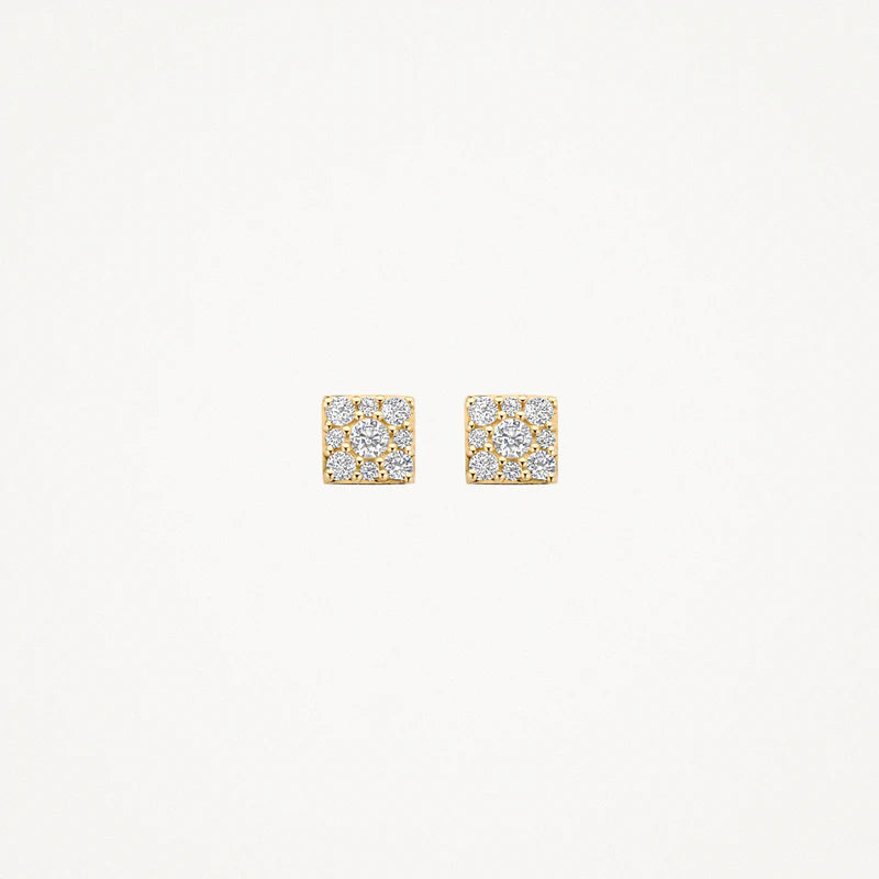 Blush Oorknoppen 7395YZI - Geel Goud (14k)
