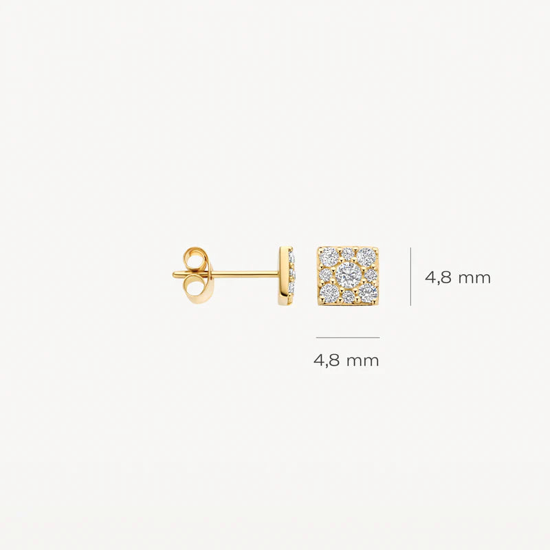 Blush Oorknoppen 7395YZI - Geel Goud (14k)