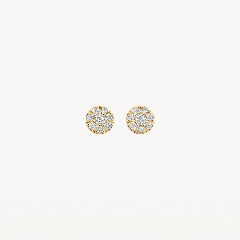 Blush Oorknoppen 7396YZI - Geel Goud (14k)