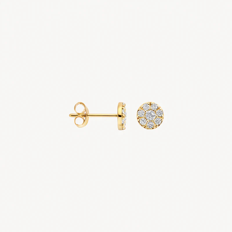 Blush Oorknoppen 7396YZI - Geel Goud (14k)
