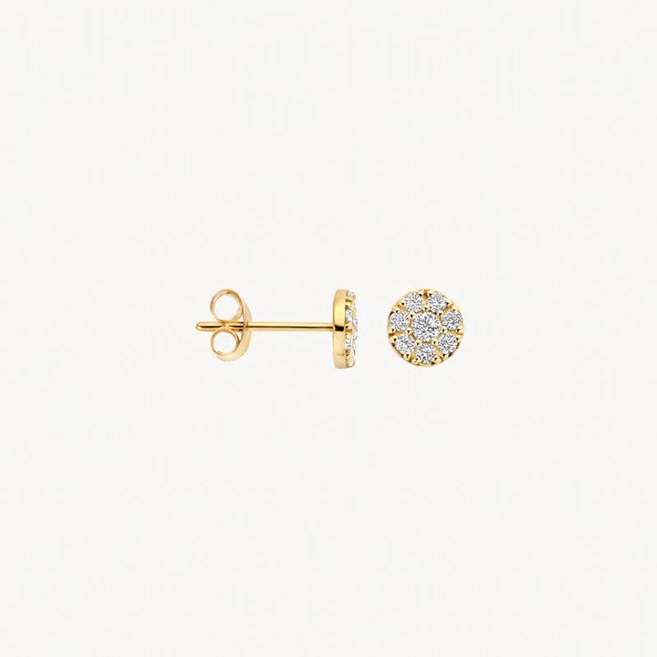 Blush Oorknoppen 7396YZI - Geel Goud (14k)