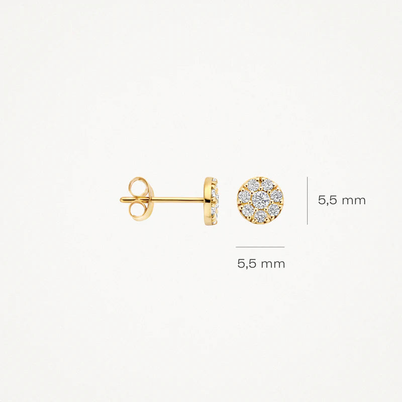 Blush Oorknoppen 7396YZI - Geel Goud (14k)