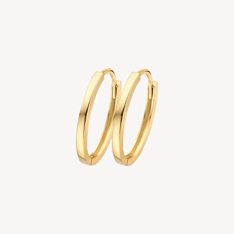 Blush Oorringen in 14k Goud - 7402YGO