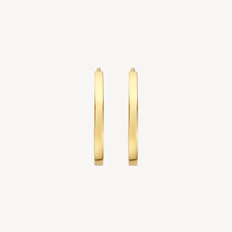 Blush Oorringen in 14k Goud - 7402YGO