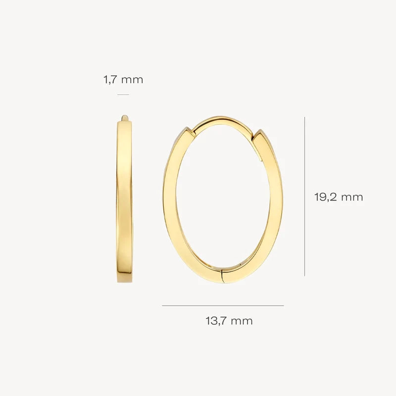 Blush Oorringen in 14k Goud - 7402YGO
