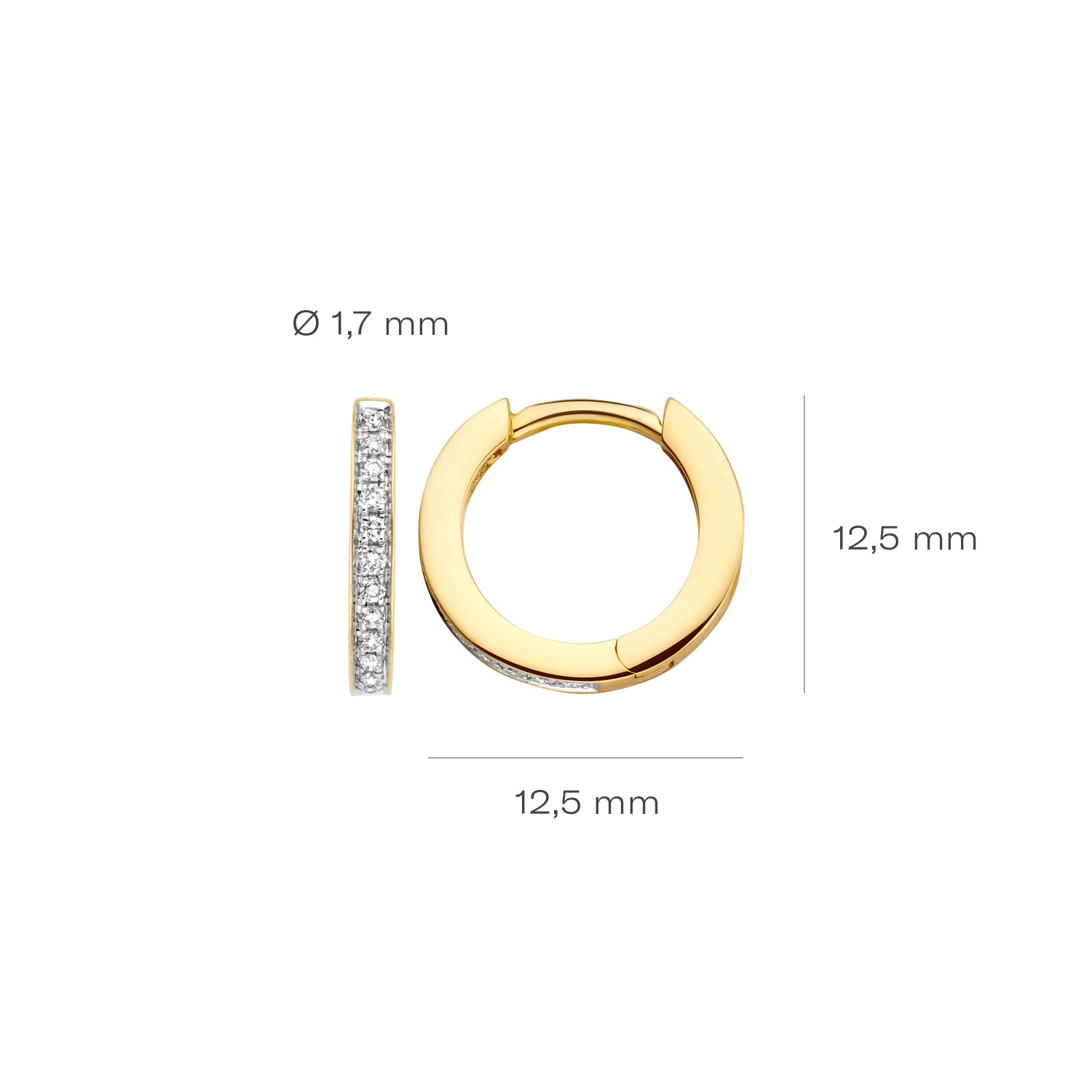 Blush Natural Diamonds Creolen 7612BDI