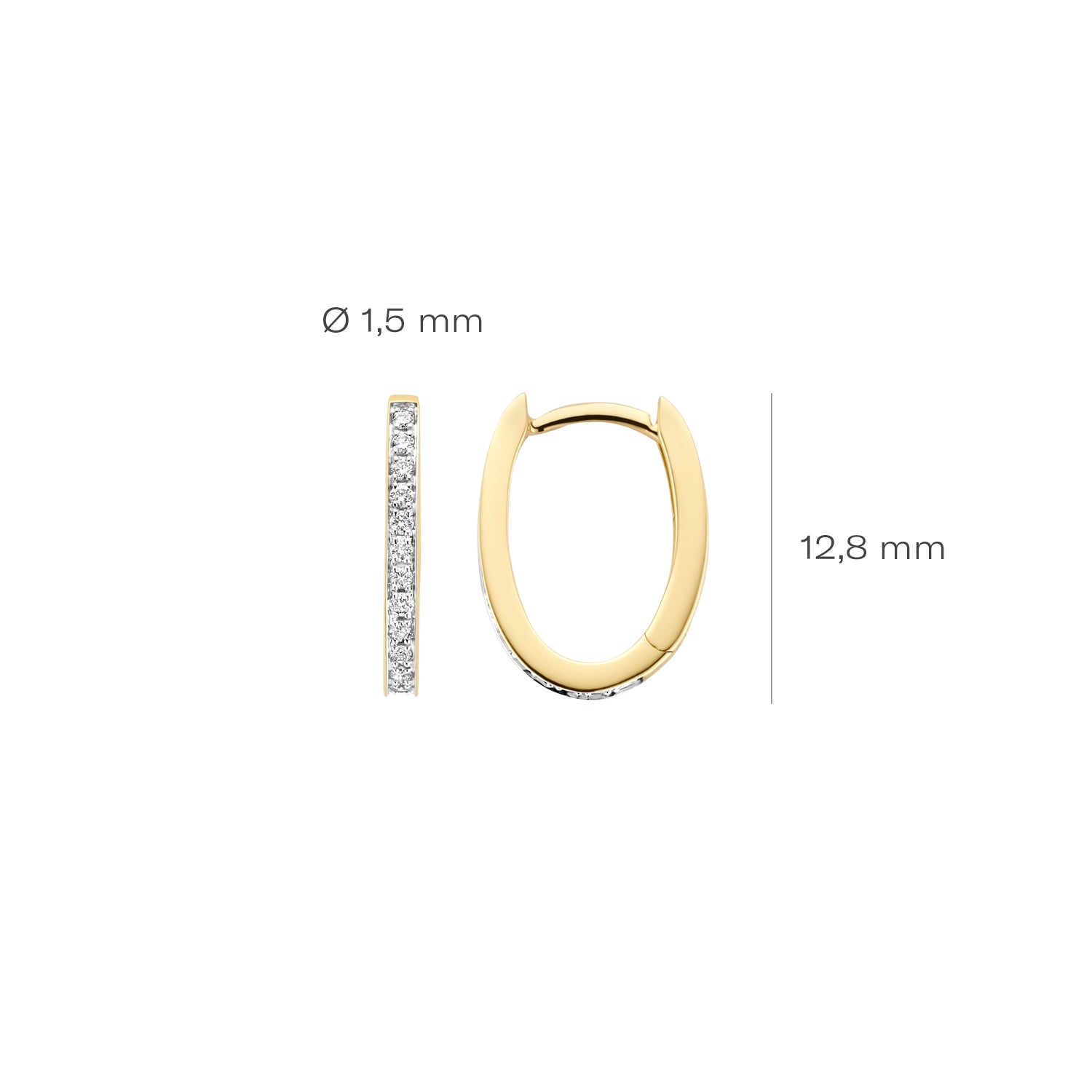 Blush Natural Diamonds Oorringen 7622YDI