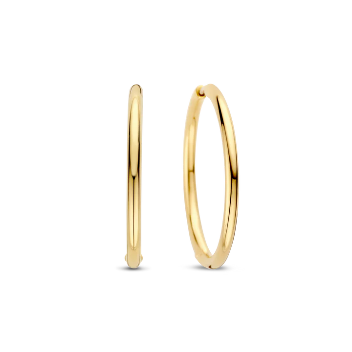 TI SENTO Oorbellen 78007SY