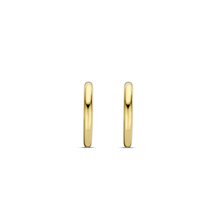 TI SENTO Oorbellen 7917SY