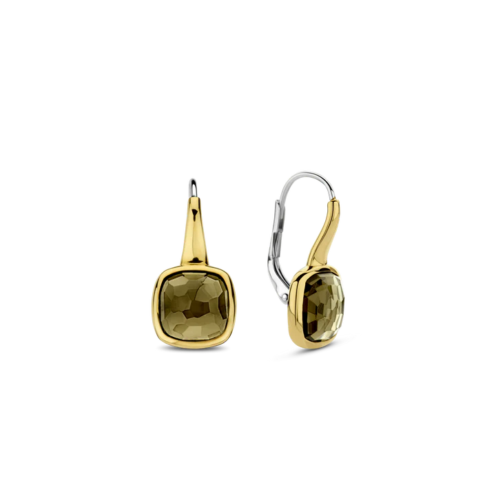 TI SENTO Oorbellen 7989KA