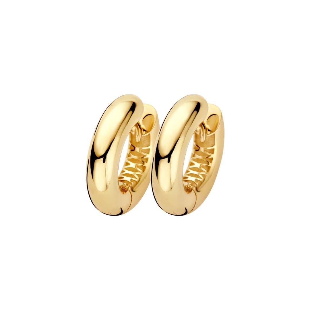 Blush Oorbellen 7371YGO -  Geel Goud (14k)