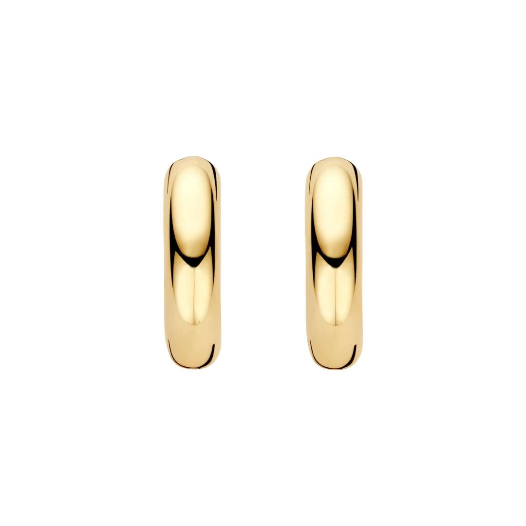 Blush Oorbellen 7371YGO -  Geel Goud (14k)